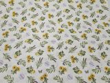 slunečnice, levandule
