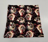 kočičky se srdíčky 40x40cm