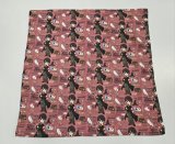 Harry Potter 40x40 plátno