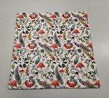 mochomůtky 45x45 cm