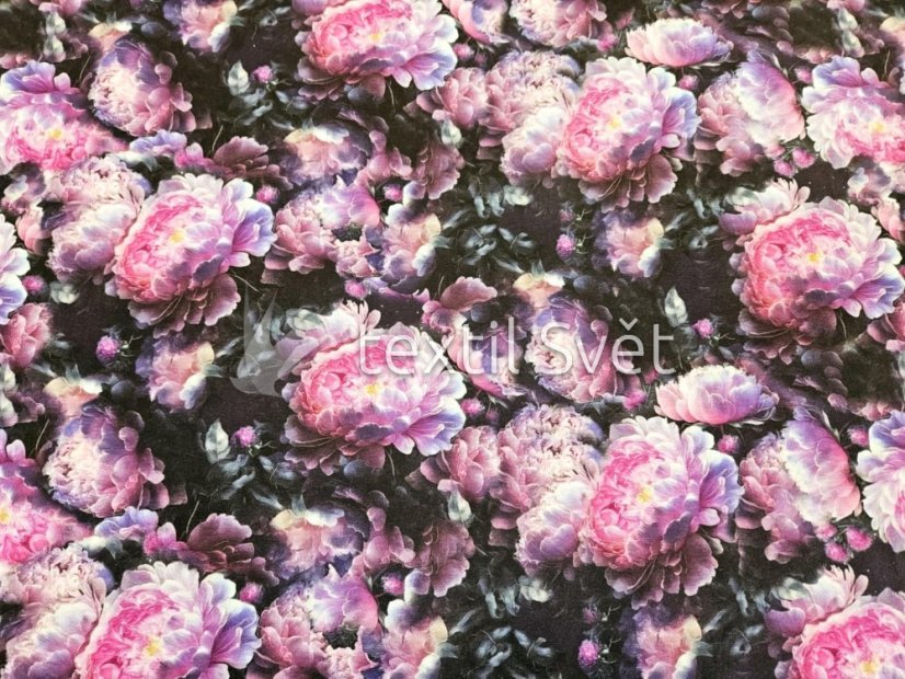 tričkoviny kytičky, listečky - tričkoviny kytičky, lístečky: pivoňka na černé 170 cm