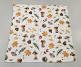 hříbky bílá 45x45 cm